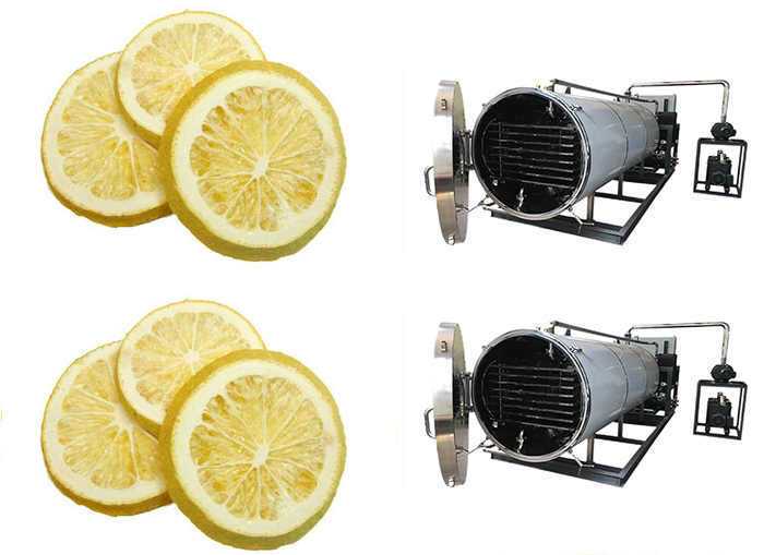 水果凍干機(jī)