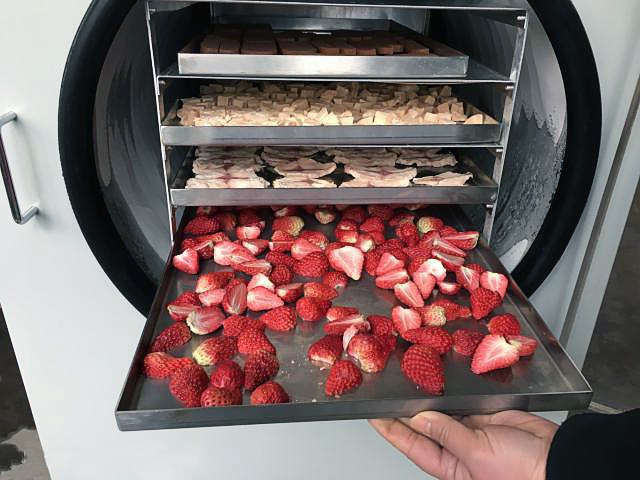 廣州水果凍干機