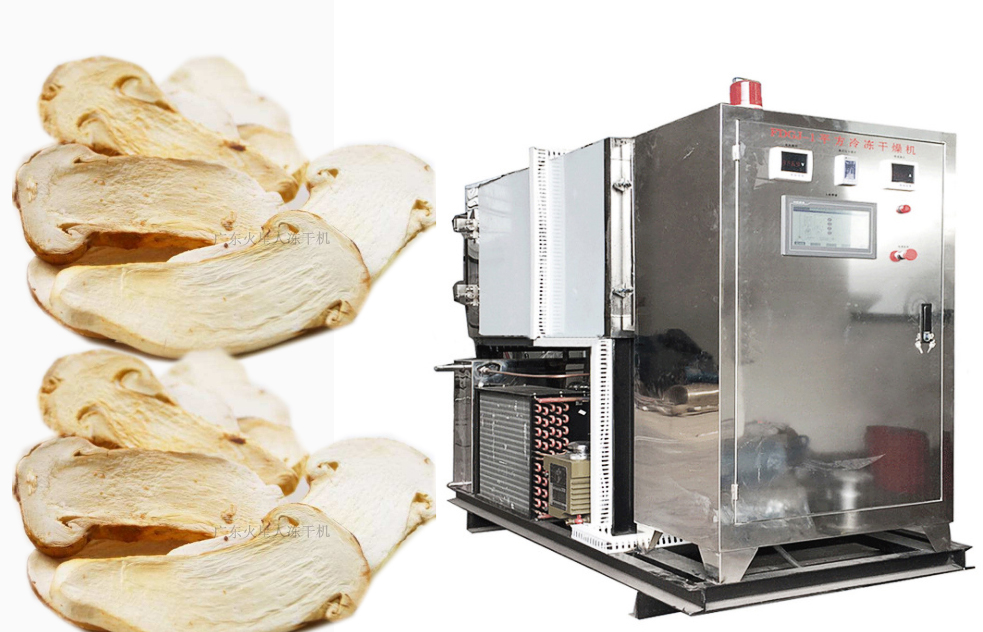 松茸食品凍干機